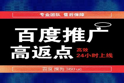 百度SEO推广策略深度解读：某企业网络营销的胜利之路